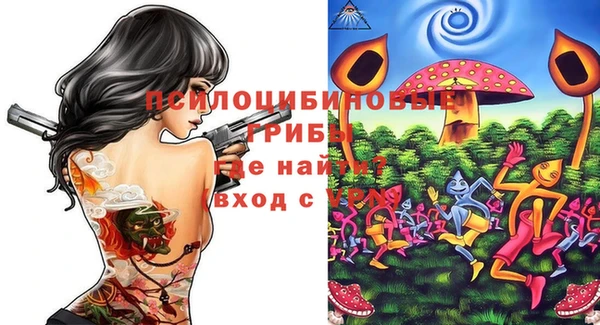 ГАЛЛЮЦИНОГЕННЫЕ ГРИБЫ Абинск