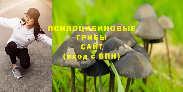 СК Абдулино